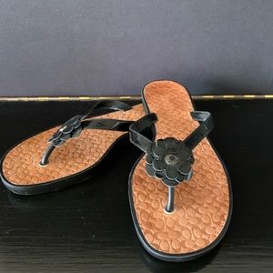COACH Lindy Sandal